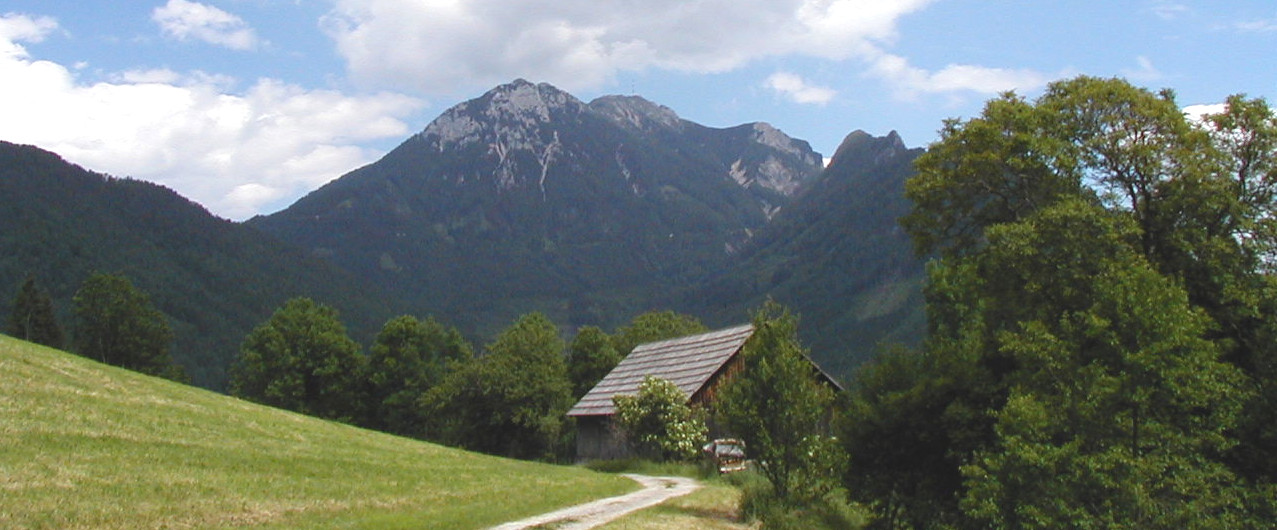 Mentalstube